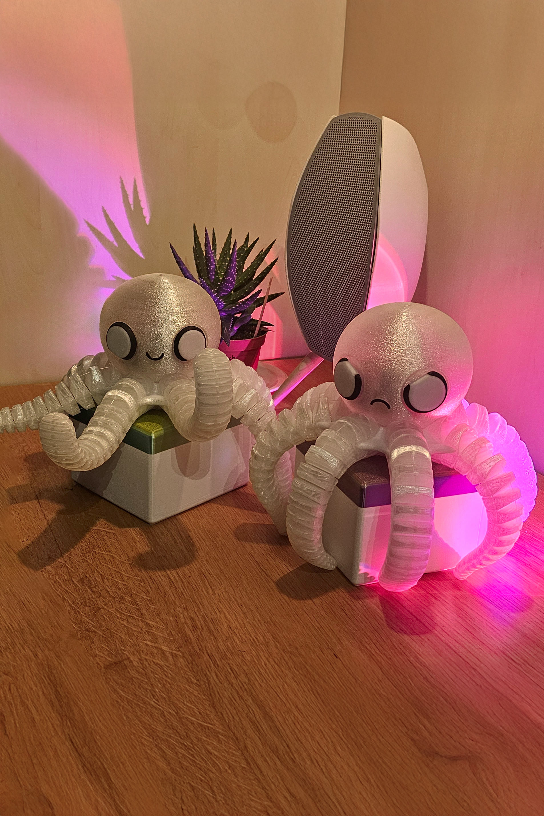 Octoping companion pair on a table